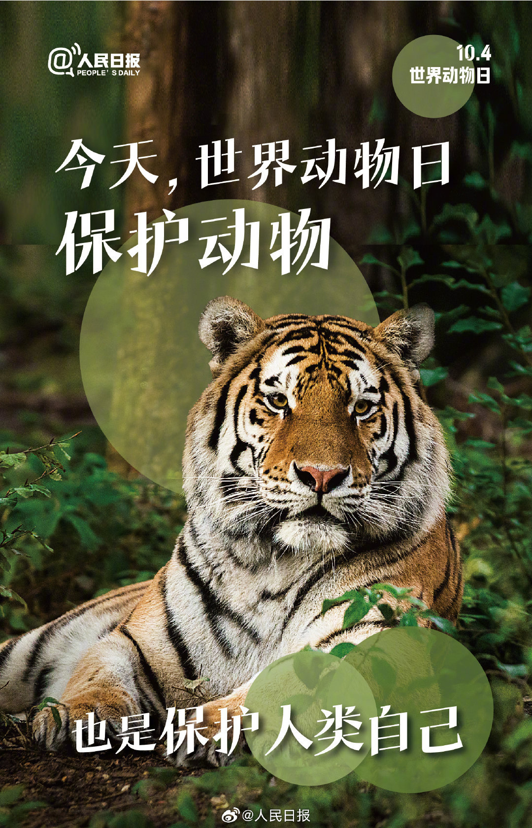 今天是世界动物日，每一个生灵都值得好好被对待