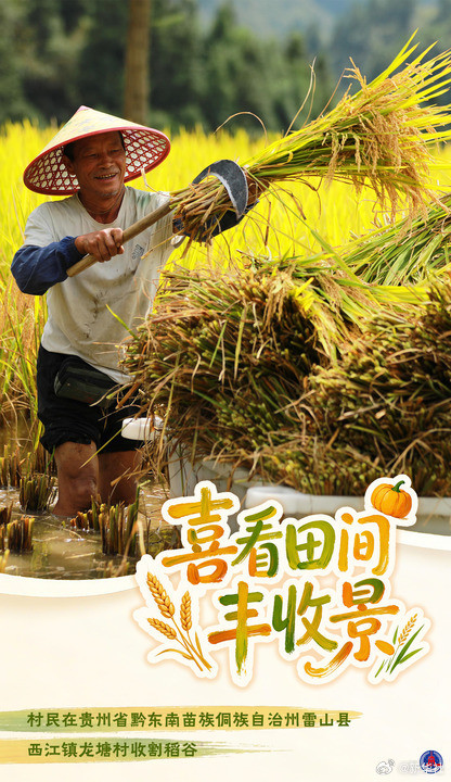 海报丨喜看田间丰收景