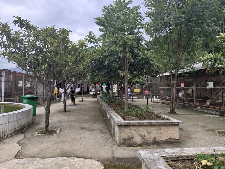 “最袖珍”“最寒酸”的动物园,走红一年后怎样了? “最袖珍”“最寒酸”的动物园,走红一年后怎样了?