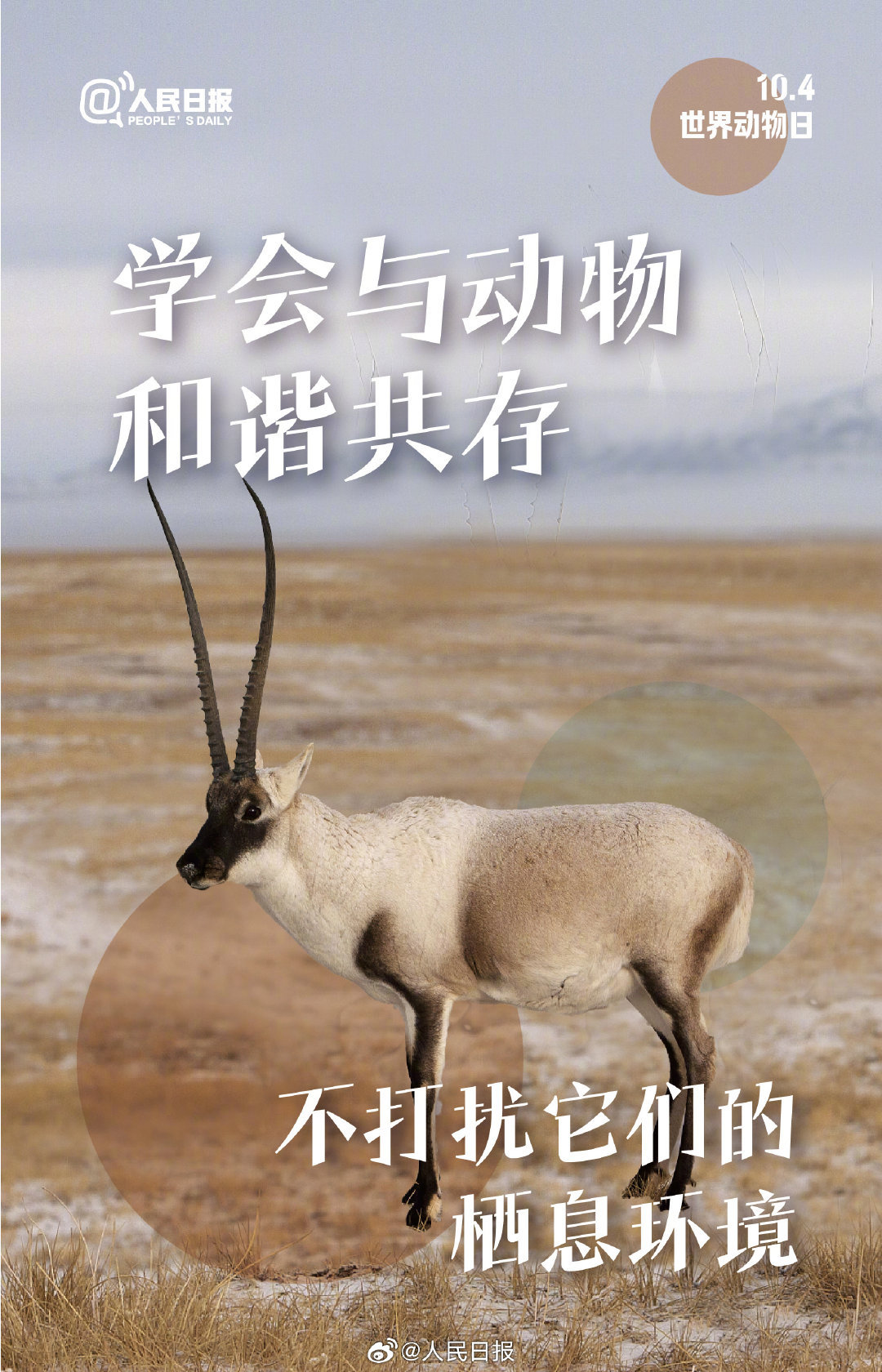 今天是世界动物日，每一个生灵都值得好好被对待