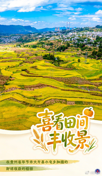 海报丨喜看田间丰收景