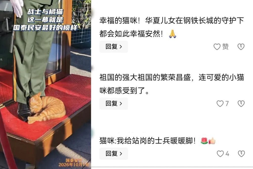 全网刷屏的天安门小猫,后续来了! 全网刷屏的天安门小猫,后续来了!