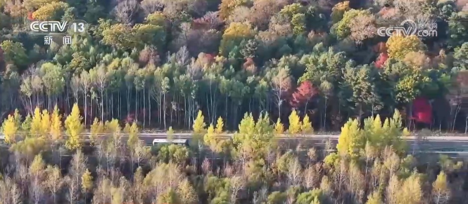 冷空气继续影响我国中东部 这份假期穿衣指南请收好→ 冷空气继续影响我国中东部 这份假期穿衣指南请收好→