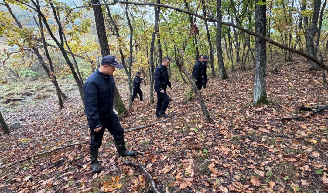 老人进山采蘑菇失联70余小时!提醒:进山采山货一定要结伴 老人进山采蘑菇失联70余小时!提醒:进山采山货一定要结伴