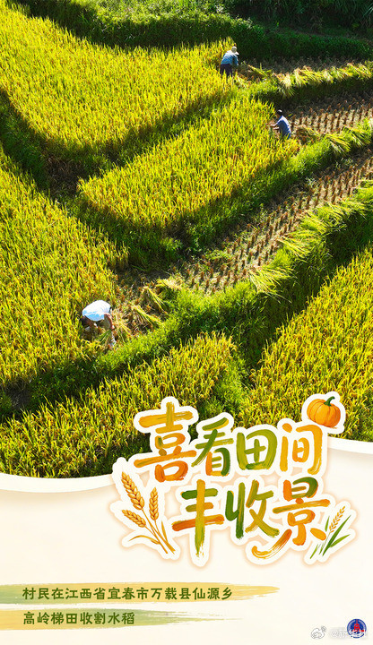海报丨喜看田间丰收景