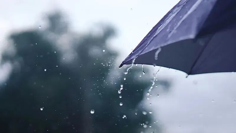 新一轮冷空气来袭!上海最低气温将跌至10℃出头!雨什么时候停? 新一轮冷空气来袭!上海最低气温将跌至10℃出头!雨什么时候停?