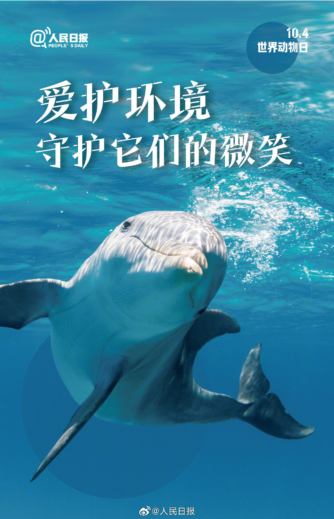 今天是世界动物日，每一个生灵都值得好好被对待