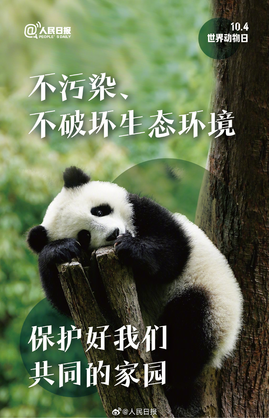 今天是世界动物日，每一个生灵都值得好好被对待