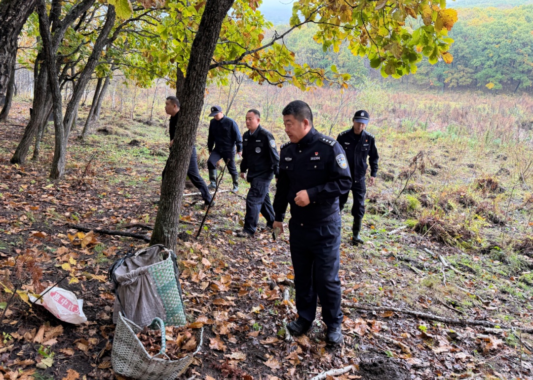 老人进山采蘑菇失联70余小时!提醒:进山采山货一定要结伴 老人进山采蘑菇失联70余小时!提醒:进山采山货一定要结伴