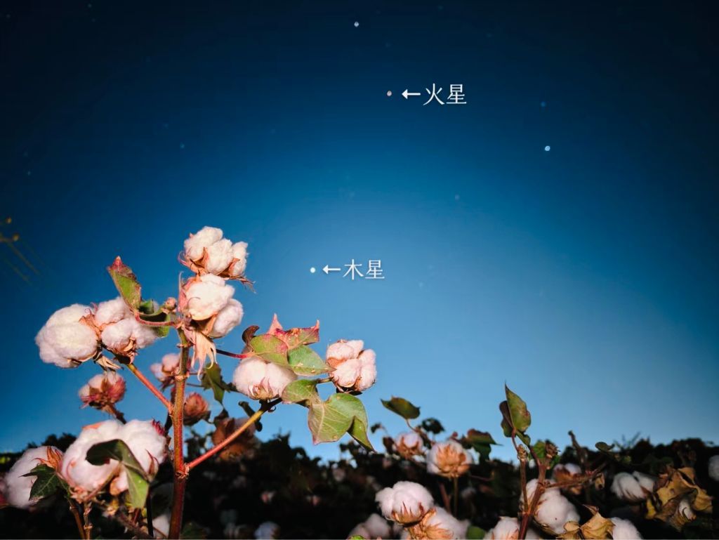 未来几天“星月童话”将连续上演