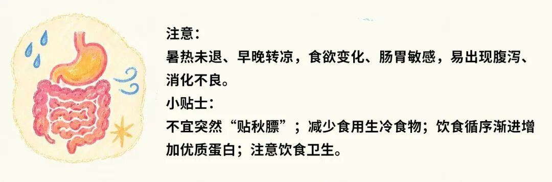 捕捉身体的“换季信号”！夏秋之交健康调养全攻略→
