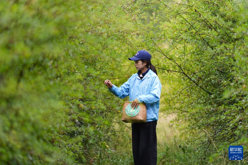 赓续长征精神 奋进复兴征程丨天空之眼瞰长征:镌刻在江源群山的长征印记 赓续长征精神 奋进复兴征程丨天空之眼瞰长征:镌刻在江源群山的长征印记