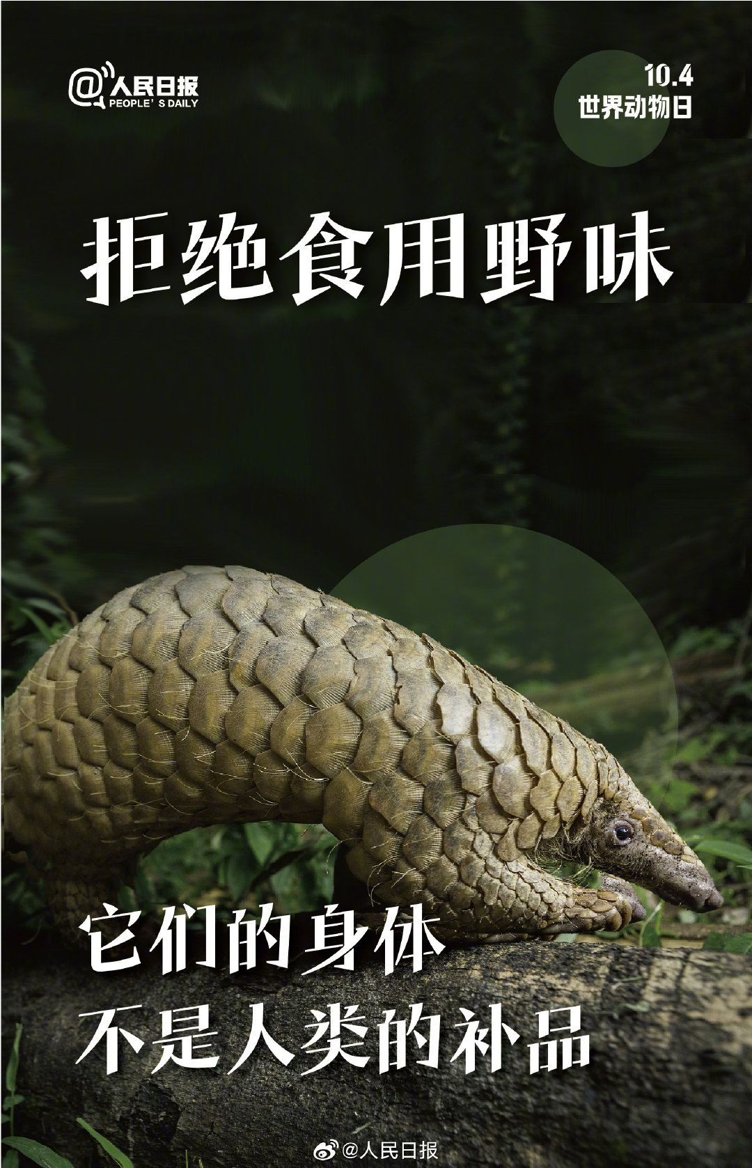 今天是世界动物日，每一个生灵都值得好好被对待