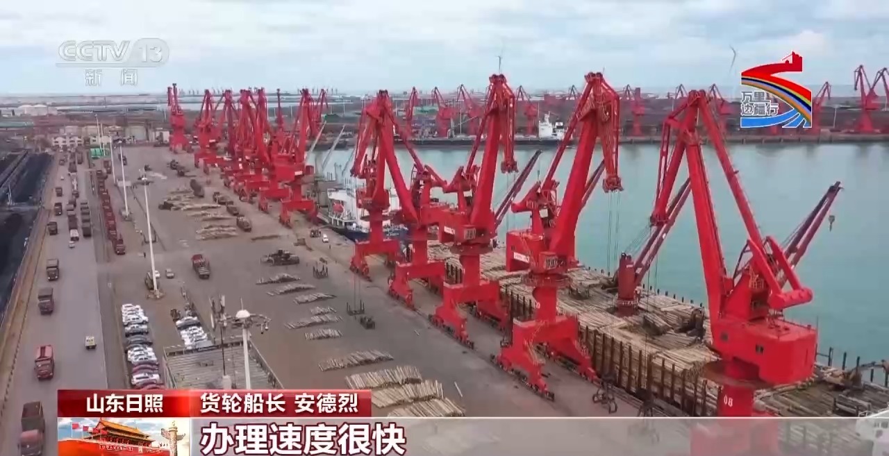 万里边疆行丨按下通关“快进键” 木头从“路过”变“扎根”