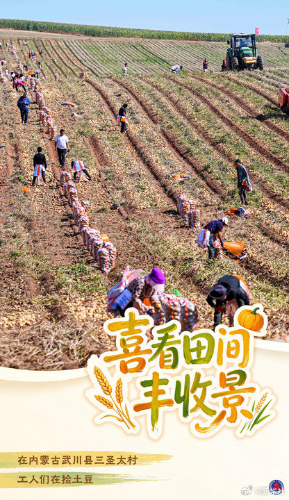 海报丨喜看田间丰收景