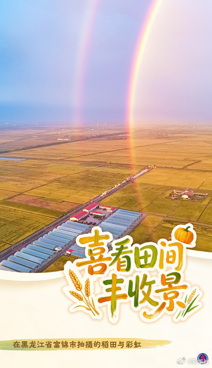 海报丨喜看田间丰收景