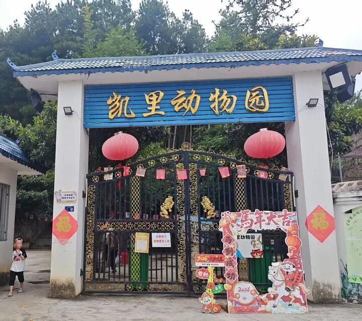 “最袖珍”“最寒酸”的动物园,走红一年后怎样了? “最袖珍”“最寒酸”的动物园,走红一年后怎样了?