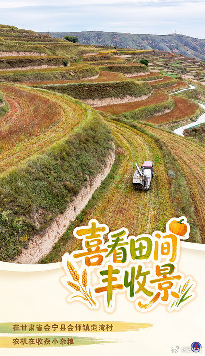 海报丨喜看田间丰收景