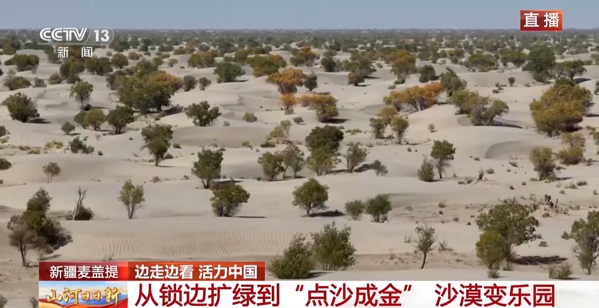从锁边扩绿到“点沙成金” 国庆假期一起去体验沙漠乐园
