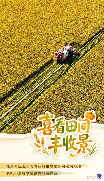 海报丨喜看田间丰收景