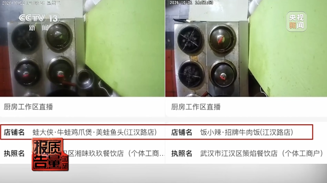 后厨油污堆积、黑老鼠乱窜……多家餐厅被曝“明厨亮灶”造假