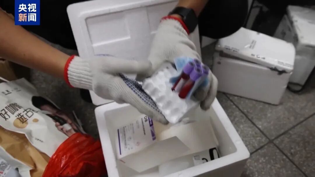 超10万份孕妇血样被偷运出境！水客用胶带绑在腹部、大腿内侧闯关…