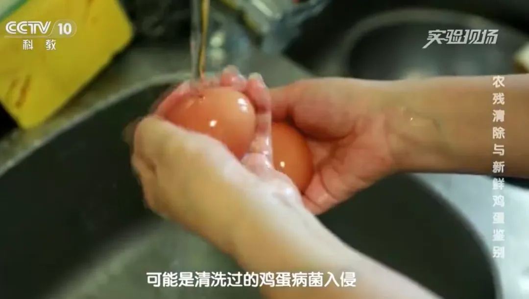 鸡蛋千万别用水洗？很多人做错了……