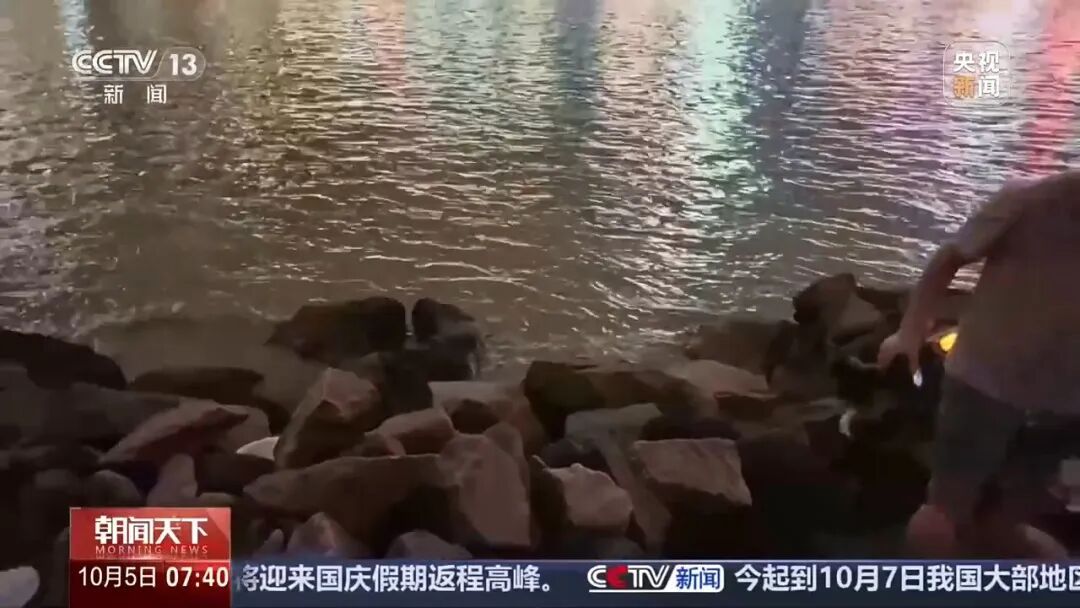 央视曝光后，重庆启动专项整治