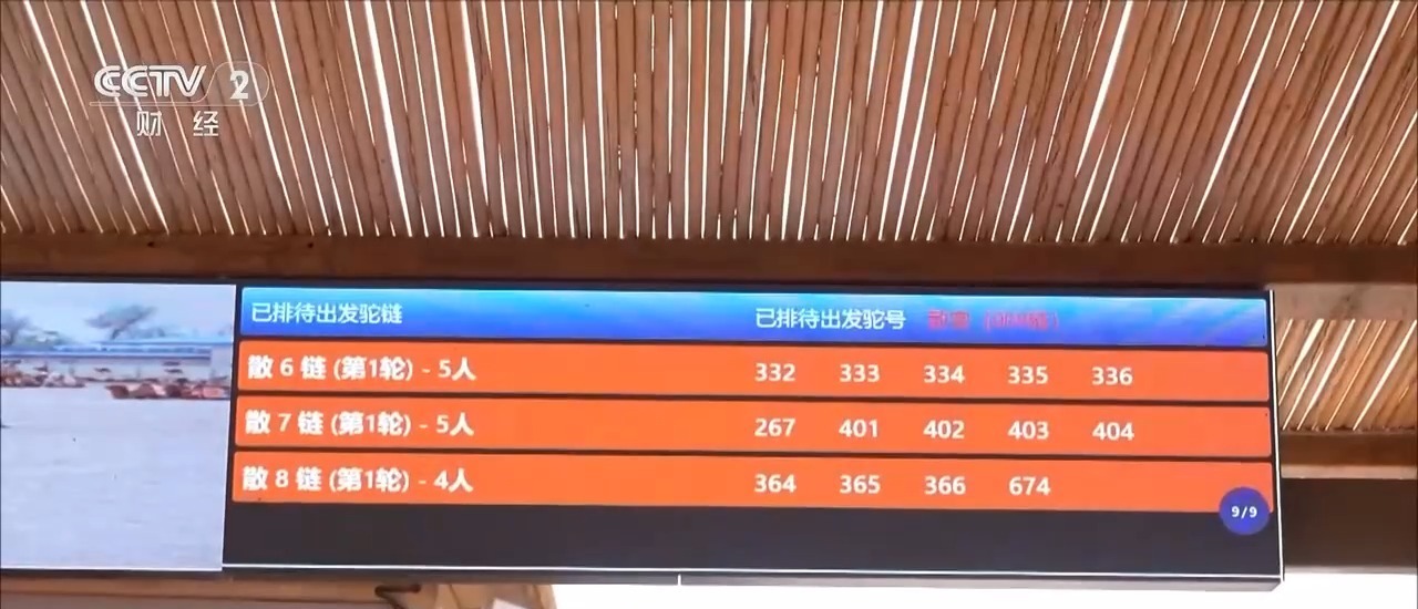 银票游古镇、大漠看马术、智游水乡 你的国庆假期打开方式是？