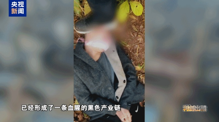 电击、枪顶头画面曝光！央视披露：“佤邦”的一个地区就有近6万人涉诈