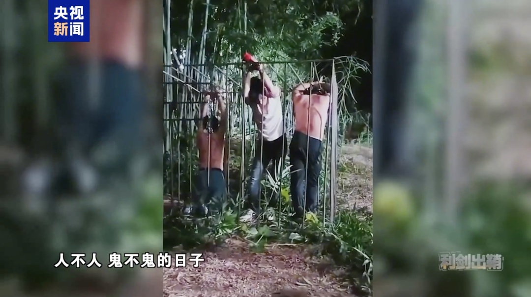 “不要说一个肾了,锯条腿、锯条手我都愿意,只要能走” “不要说一个肾了,锯条腿、锯条手我都愿意,只要能走”