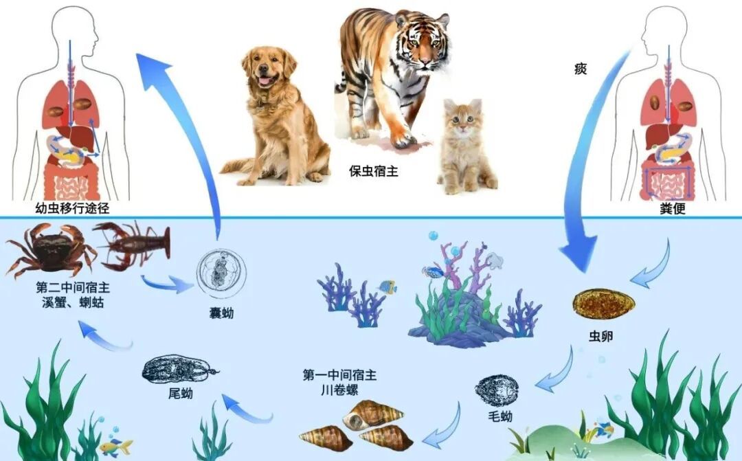 这个,劝你一口别吃! 这个,劝你一口别吃!