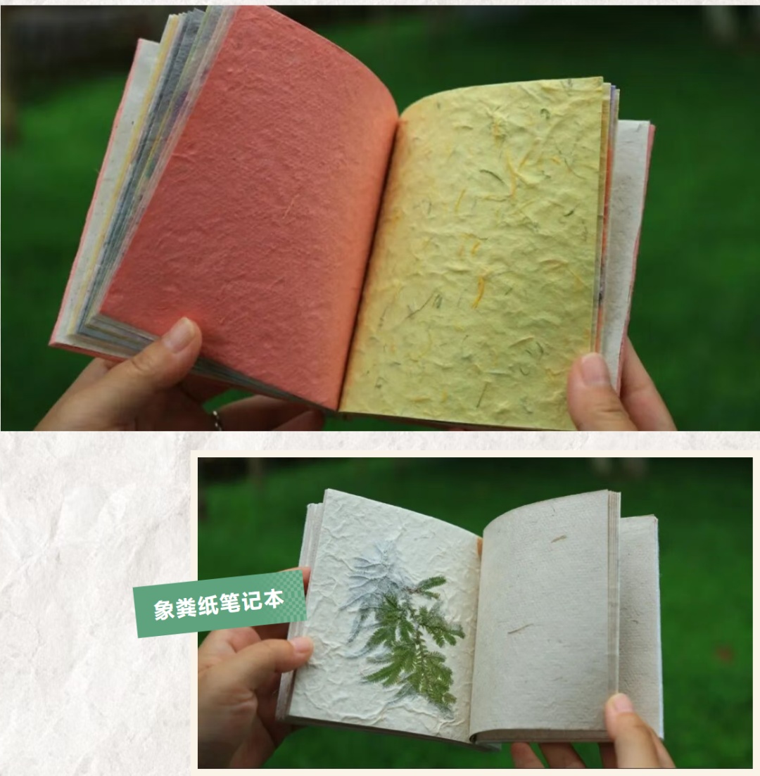 知名景区用大象粪便做文创产品，工作人员：卖得不错，没有臭味