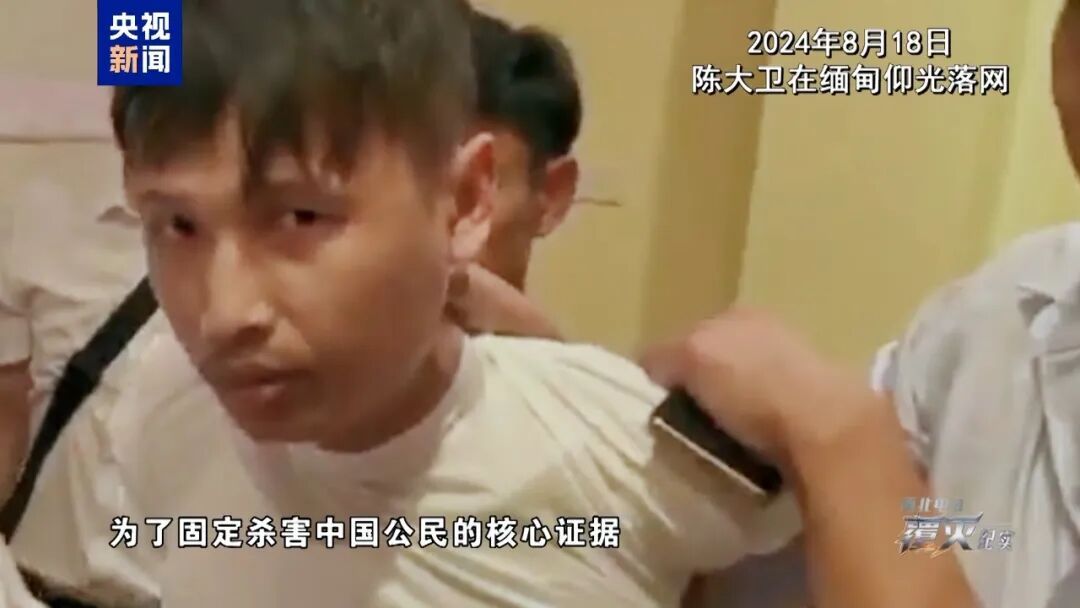 最新 | 专案组：挖出尸骨经DNA鉴定都是中国人的