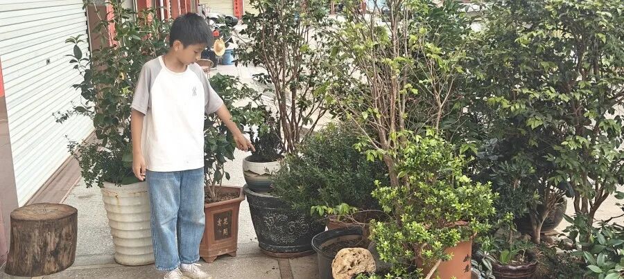 广东一12岁小孩哥假期在老家玩耍时,发现花坛中有恐龙蛋化石 广东一12岁小孩哥假期在老家玩耍时,发现花坛中有恐龙蛋化石
