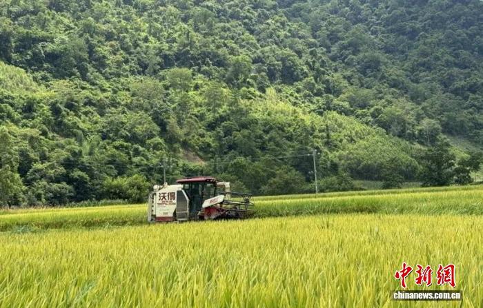 广西“滴滴农机”接入北斗终端超1.75万台 作业面积62万余亩