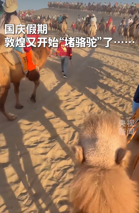 敦煌又“堵骆驼”了，鸣沙山游客多到像“拼豆”，网友：西出阳关全是人