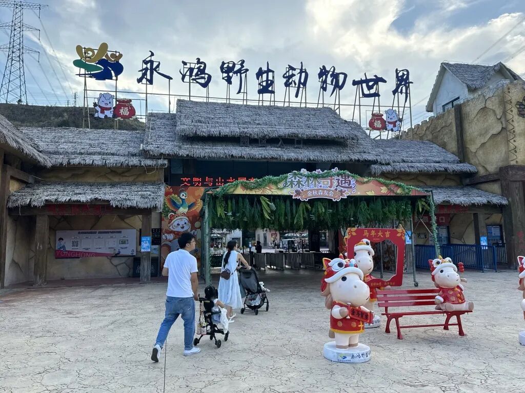 福建一动物园活体投喂引争议:60元卖活鸡让猛兽撕咬,有未成年人围观 福建一动物园活体投喂引争议:60元卖活鸡让猛兽撕咬,有未成年人围观