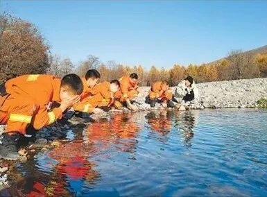 手机刷到老虎遛弯?别划走,看看背后这群人 手机刷到老虎遛弯?别划走,看看背后这群人