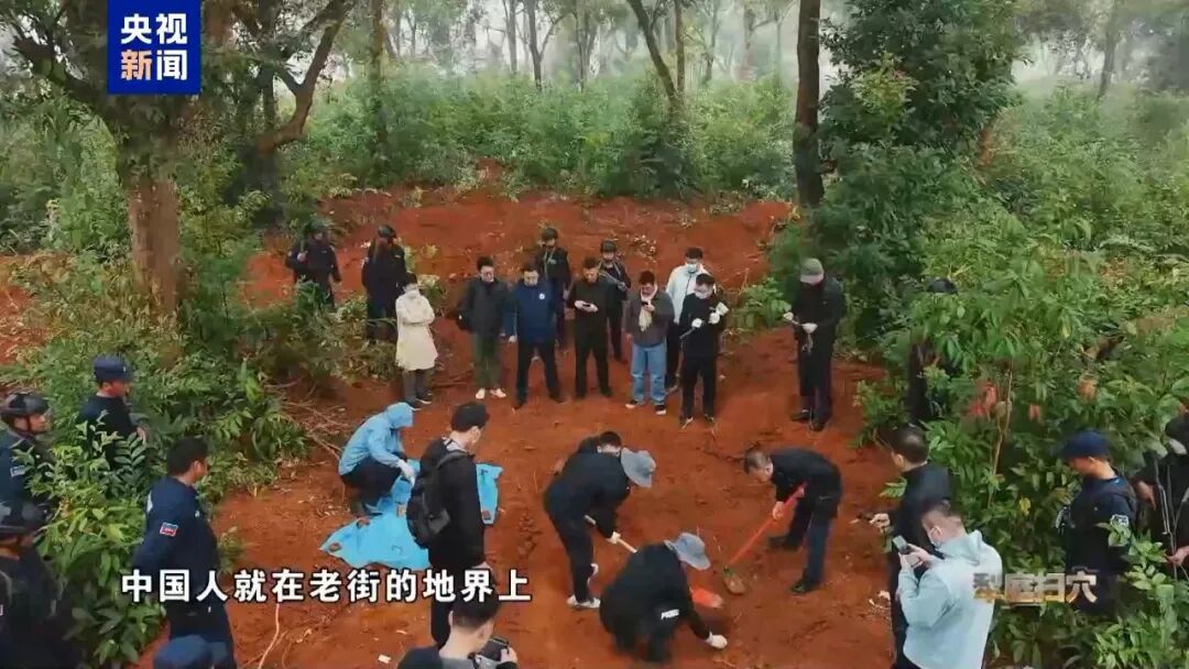 最新 | 专案组：挖出尸骨经DNA鉴定都是中国人的