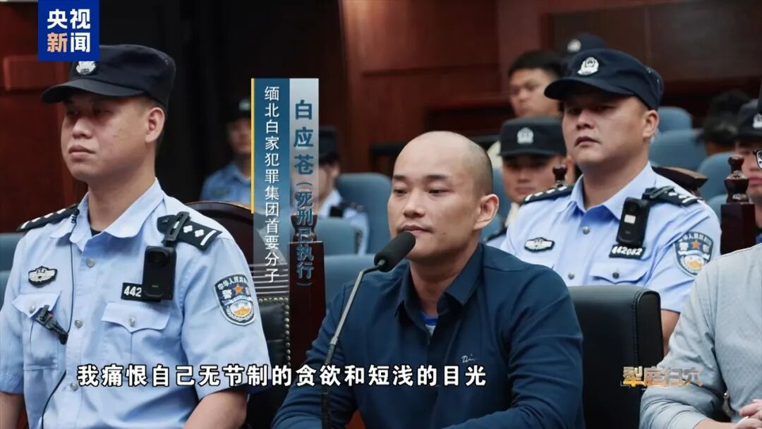 16条人命，警方费尽千辛万苦，从缅北带回5具尸体跟1份骨灰！被告人当庭道歉