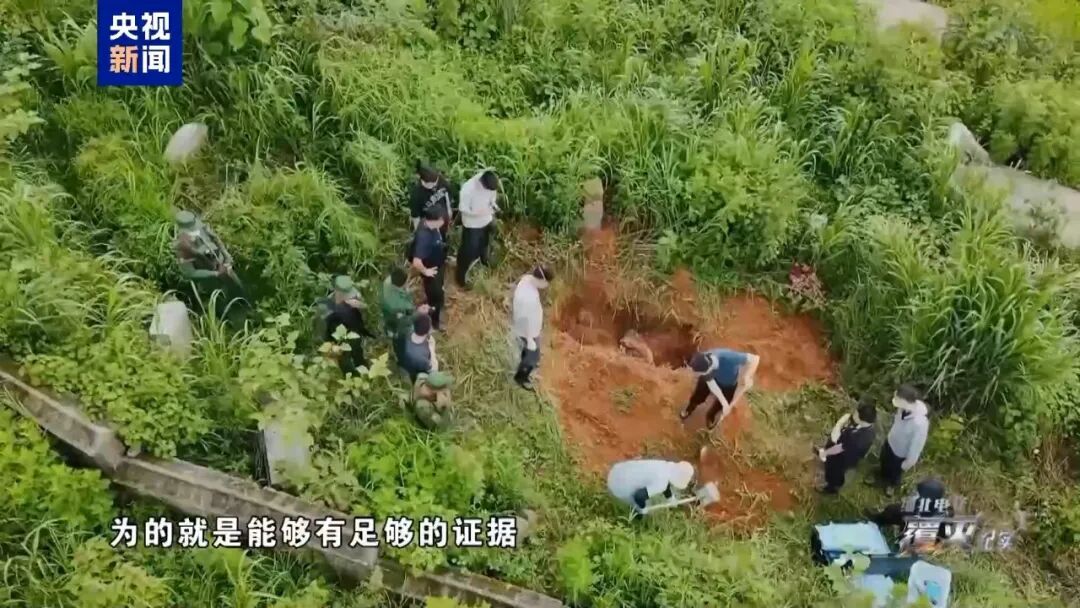 最新 | 专案组：挖出尸骨经DNA鉴定都是中国人的