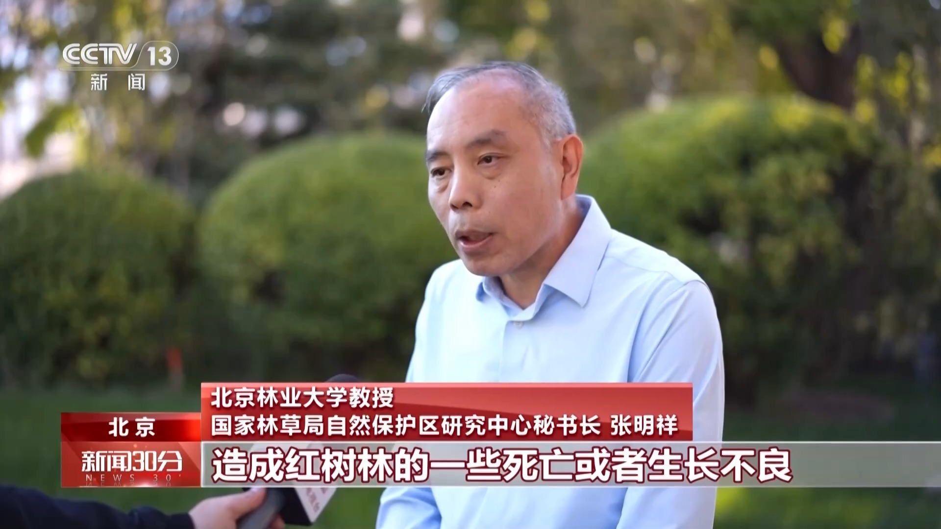地笼泛滥 红树林保护区竟成赶海“乐园”!记者调查 地笼泛滥 红树林保护区竟成赶海“乐园”!记者调查