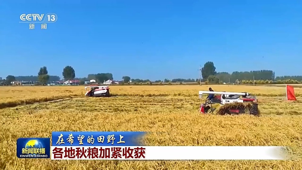 全国秋粮收获已过四成 各地保障颗粒归仓 全国秋粮收获已过四成 各地保障颗粒归仓