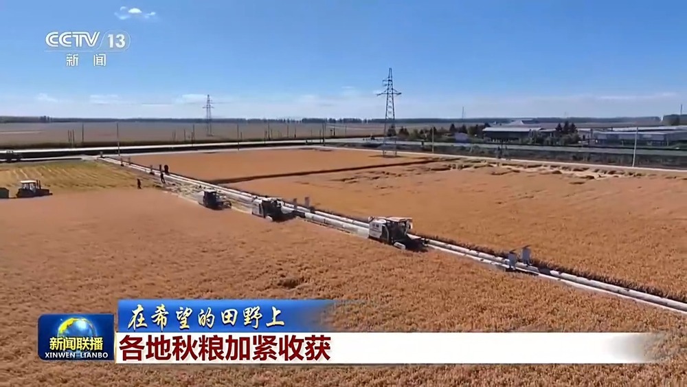 全国秋粮收获已过四成 各地保障颗粒归仓 全国秋粮收获已过四成 各地保障颗粒归仓