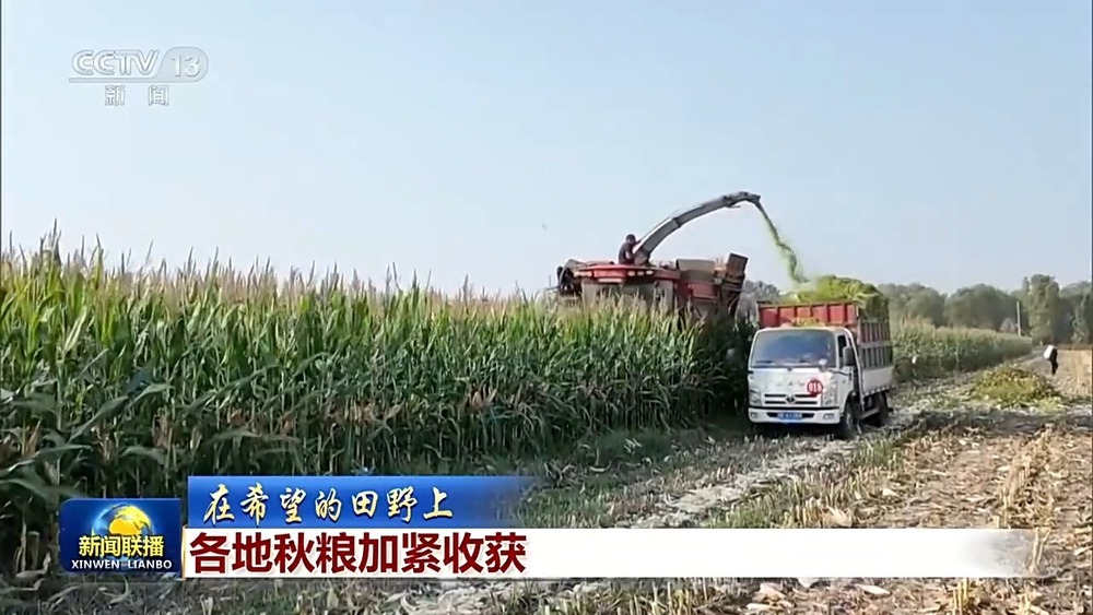 全国秋粮收获已过四成 各地保障颗粒归仓 全国秋粮收获已过四成 各地保障颗粒归仓