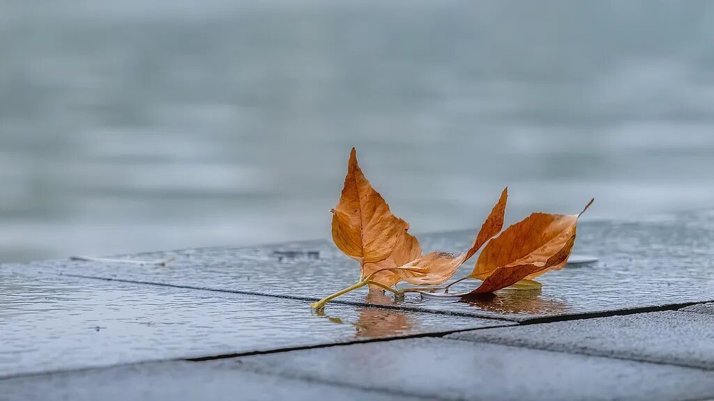 温差暴击!上海气温跌至低点!节后雨水也在路上…今天很关键 温差暴击!上海气温跌至低点!节后雨水也在路上…今天很关键