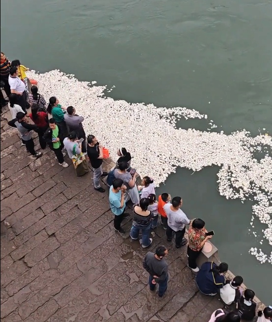 "吃不完,根本吃不完,都快吐了…"网红打卡地这一幕,网友疯狂吐槽! "吃不完,根本吃不完,都快吐了…"网红打卡地这一幕,网友疯狂吐槽!