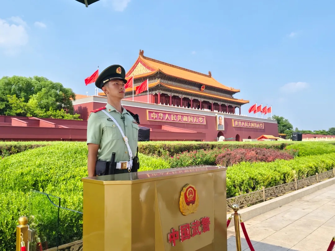 全网刷屏的天安门小猫,后续来了! 全网刷屏的天安门小猫,后续来了!