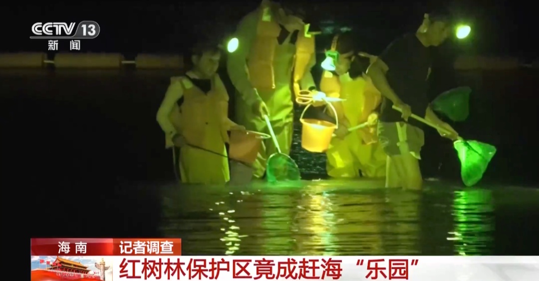 地笼泛滥!海南红树林保护区成赶海“乐园”?专家:对生态修复成果产生不可逆的损伤 地笼泛滥!海南红树林保护区成赶海“乐园”?专家:对生态修复成果产生不可逆的损伤